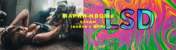 PSILOCYBIN Бугульма